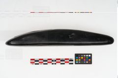 Foto von Steindechsel (NHMW-PRAE-063348)